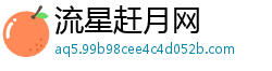 流星赶月网 流星赶月网